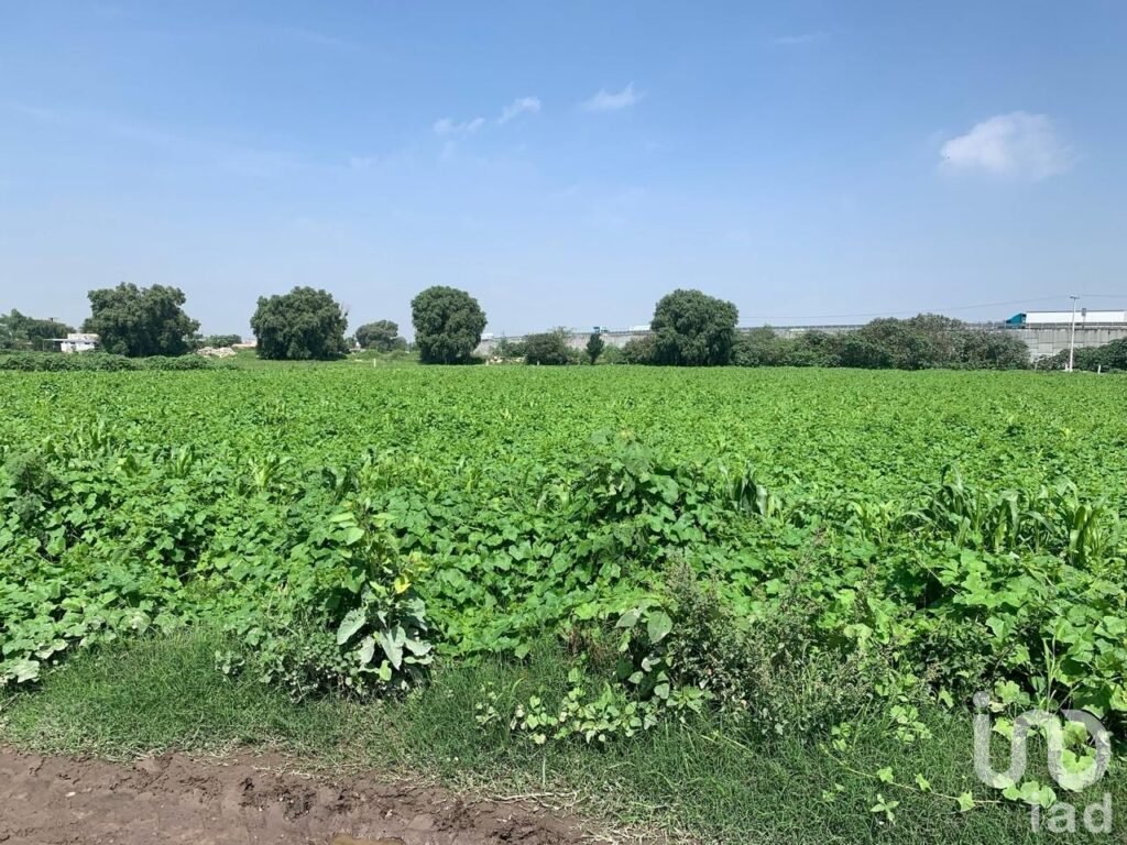 Venta Terreno - Tultepec