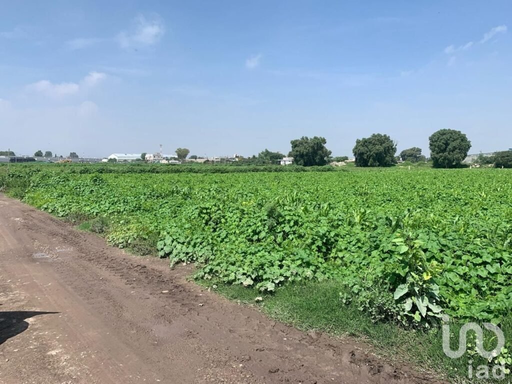 Venta Terreno - Tultepec