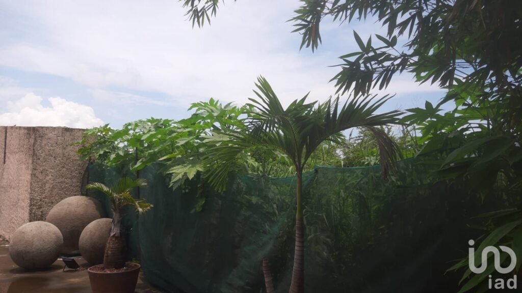 TERRENO EN VENTA EN PLAYA DE VACA, MEDELLIN, VERACRUZ - 2192128 terreno en venta terreno en venta en playa de vaca medellin veracruz 253248