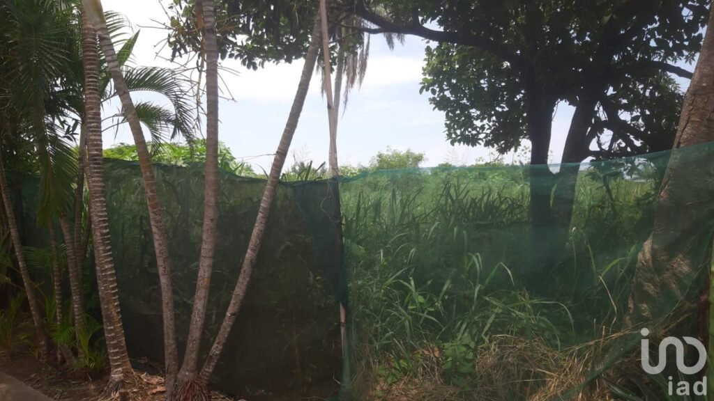 TERRENO EN VENTA EN PLAYA DE VACA, MEDELLIN, VERACRUZ