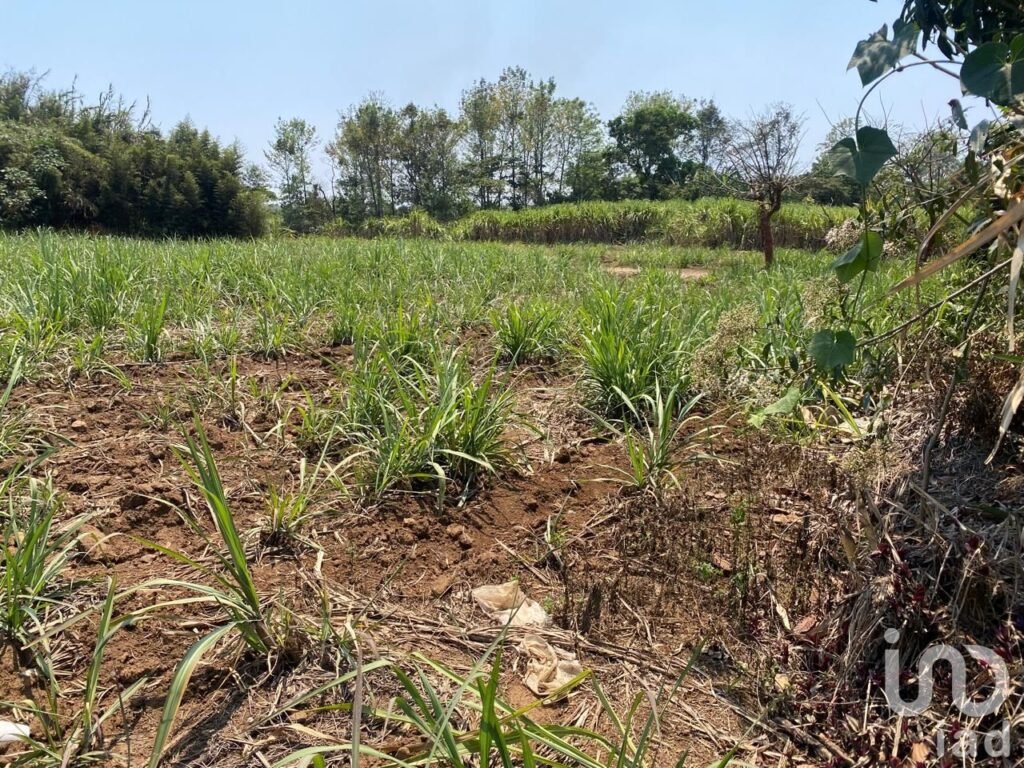 TERRENO EN VENTA EN COATEPEC, VERACRUZ