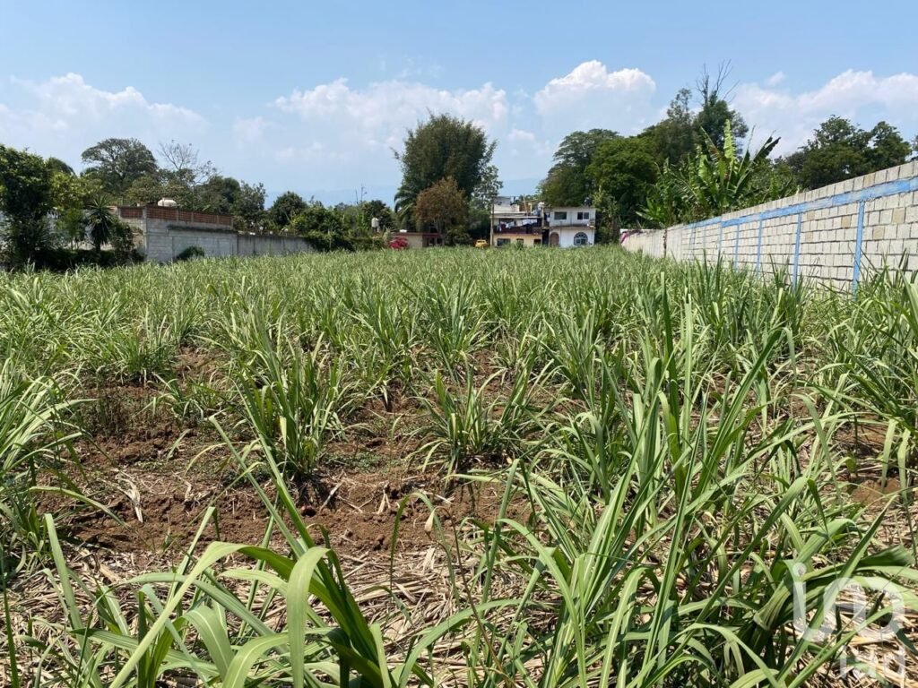 TERRENO EN VENTA EN COATEPEC, VERACRUZ