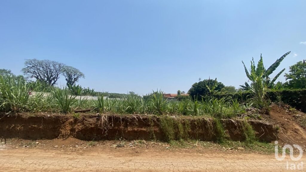 TERRENO EN VENTA EN COATEPEC, VERACRUZ