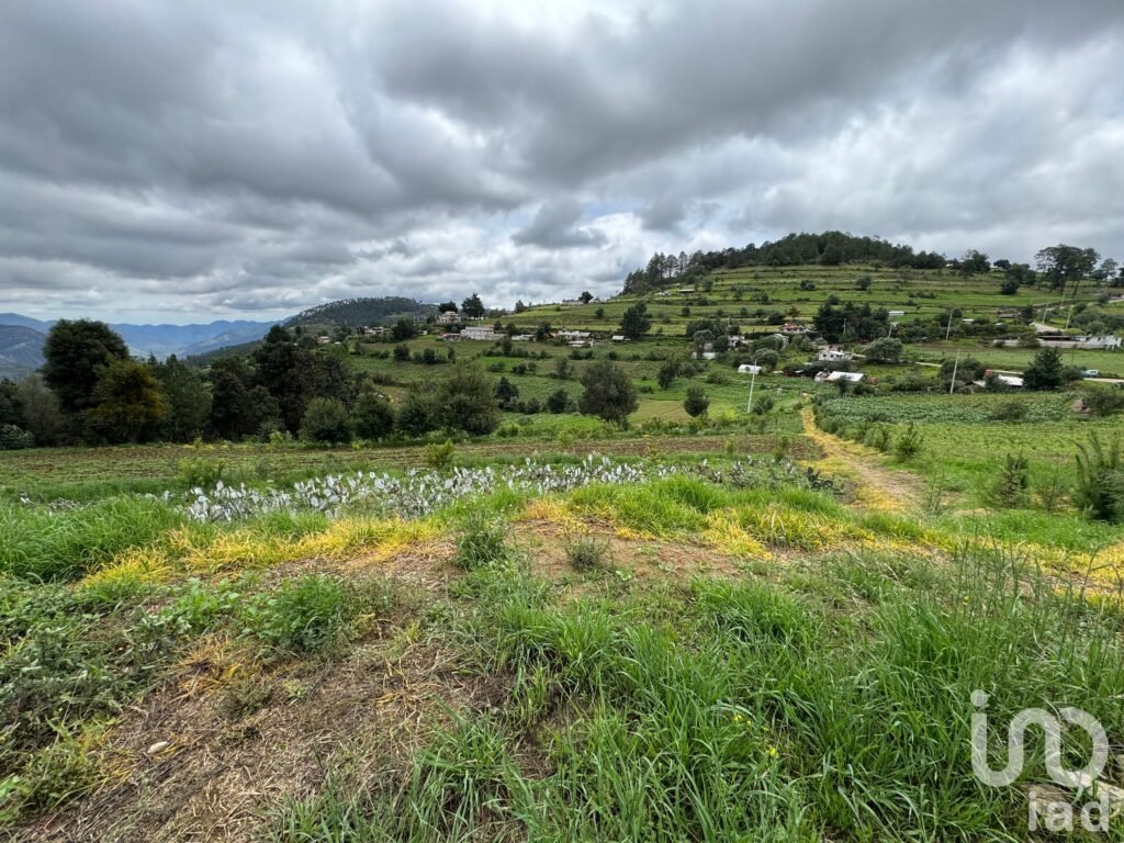 TERRENO  EN PLAN DE LA FLOR  IXTACAMAXTITLAN PUEBLA
