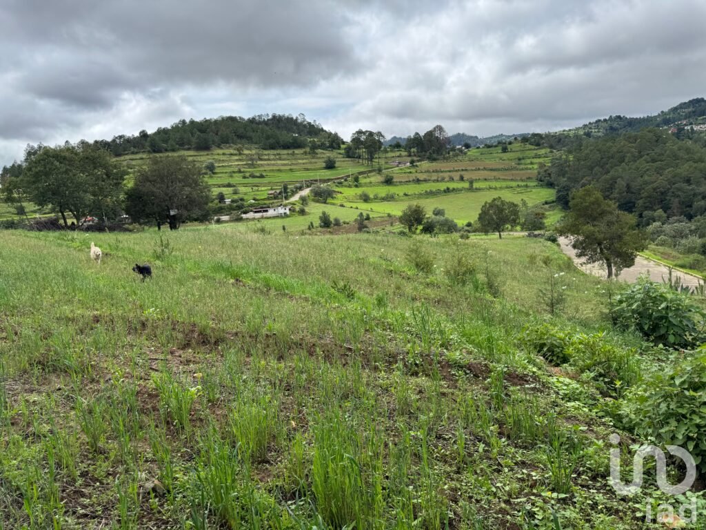 TERRENO  EN PLAN DE LA FLOR  IXTACAMAXTITLAN PUEBLA