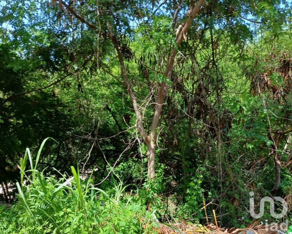 Acapulco  Terreno de 425m2 Villas Condesa