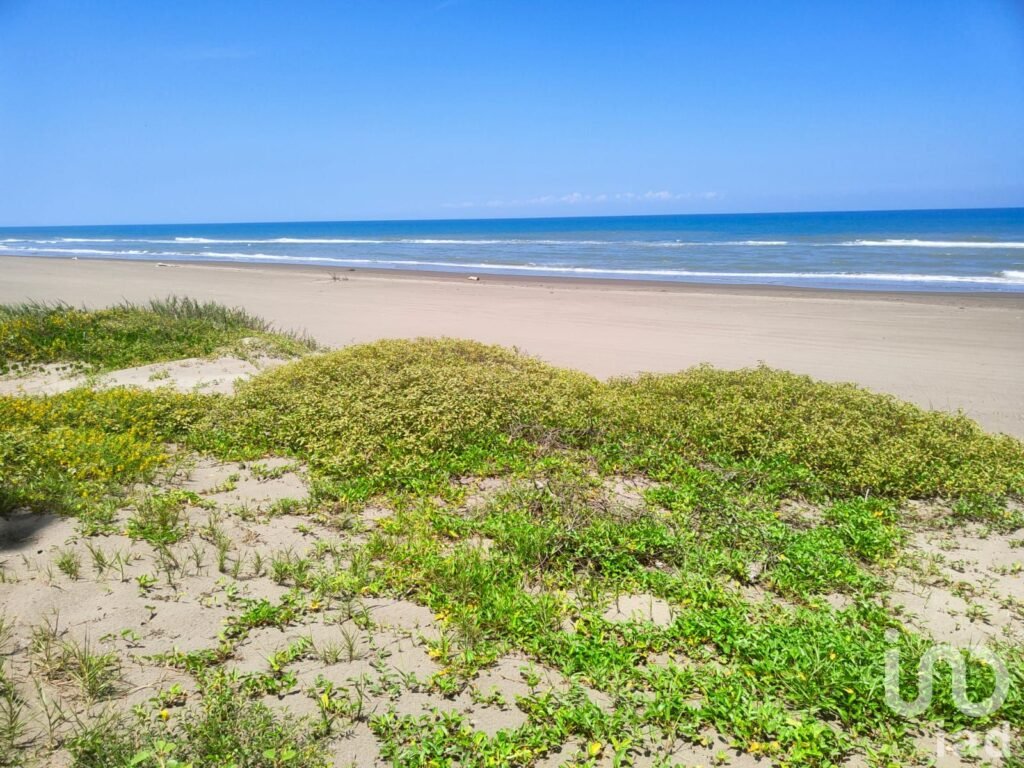 VENTA DE TERRENO (ORILLA DE PLAYA) EN MONTEGORDO, VERACRUZ