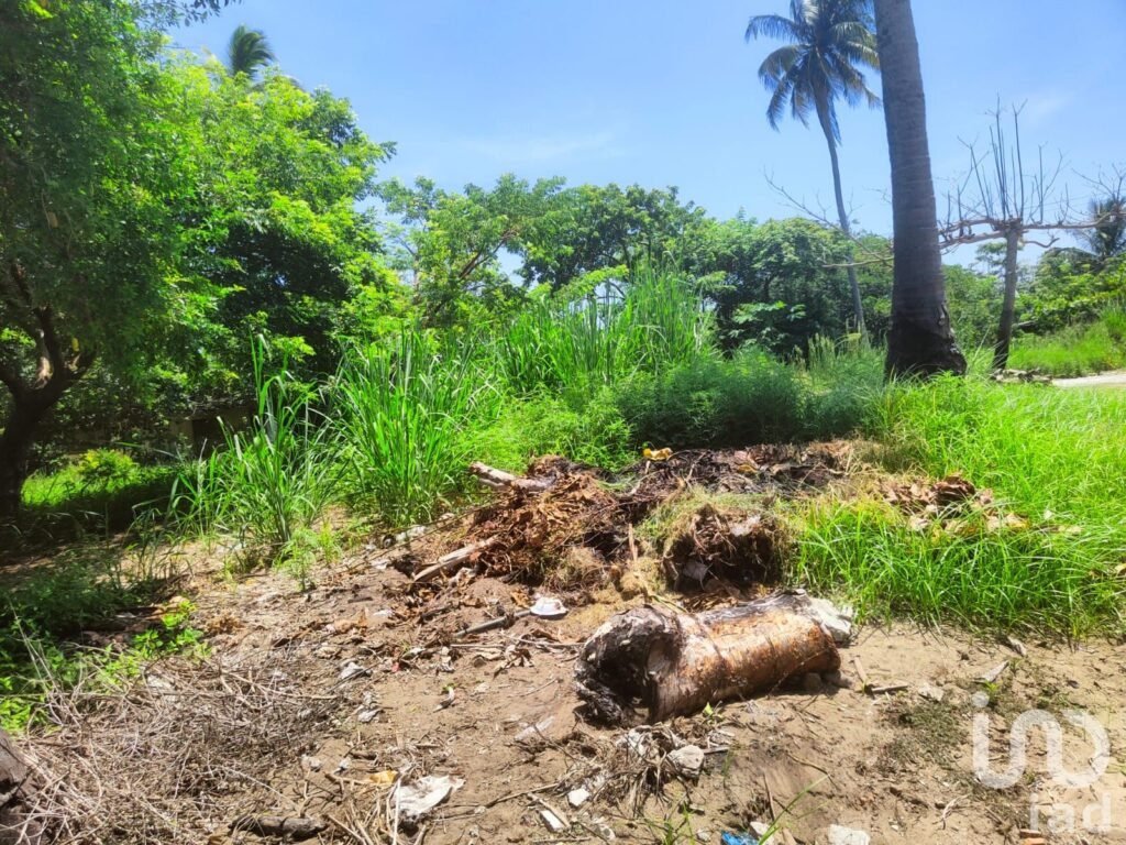 VENTA DE TERRENO (ORILLA DE PLAYA) EN MONTEGORDO, VERACRUZ