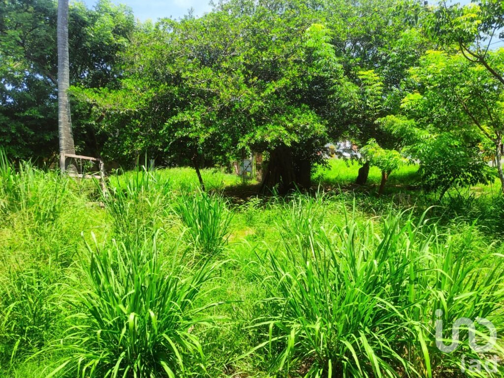 VENTA DE TERRENO (ORILLA DE PLAYA) EN MONTEGORDO, VERACRUZ