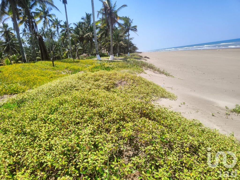 VENTA DE TERRENO (ORILLA DE PLAYA) EN MONTEGORDO, VERACRUZ