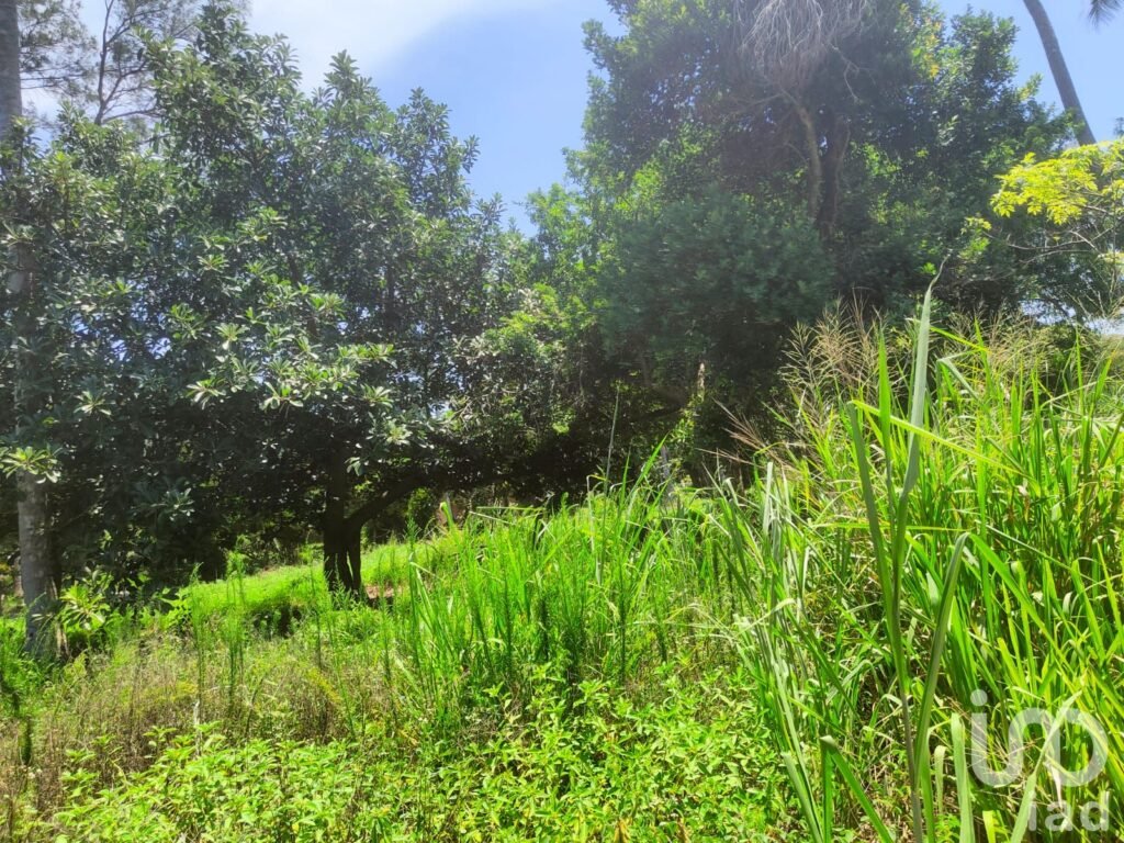 VENTA DE TERRENO (ORILLA DE PLAYA) EN MONTEGORDO, VERACRUZ