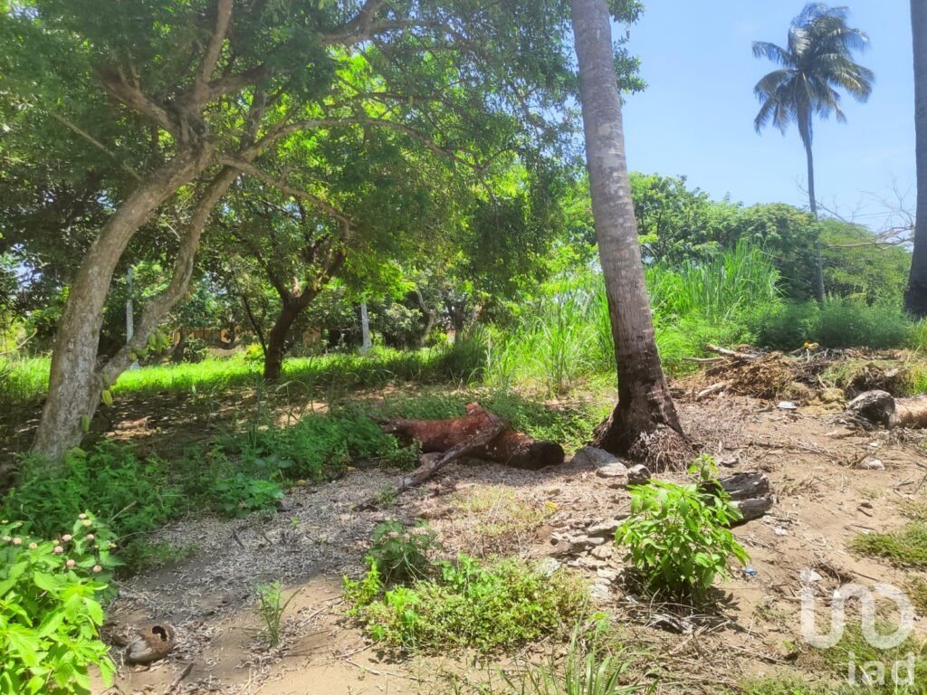 VENTA DE TERRENO (ORILLA DE PLAYA) EN MONTEGORDO, VERACRUZ
