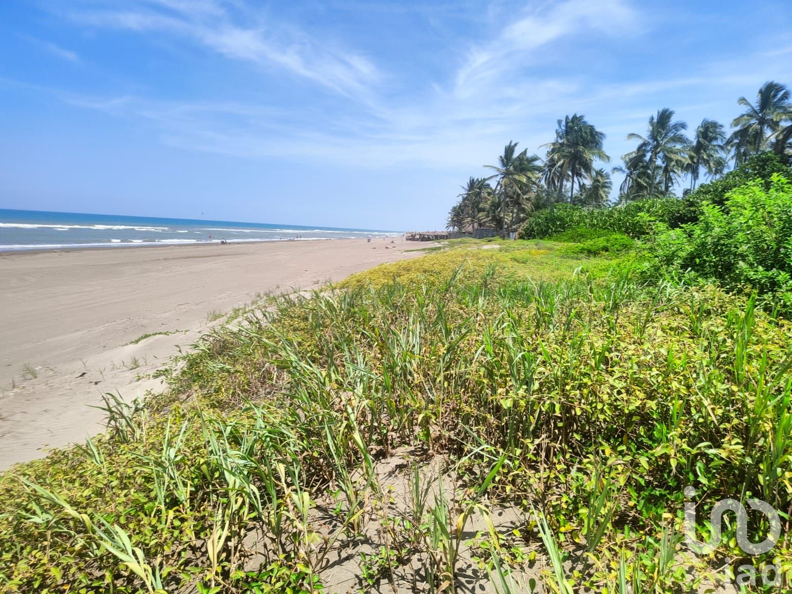 VENTA DE TERRENO (ORILLA DE PLAYA) EN MONTEGORDO, VERACRUZ