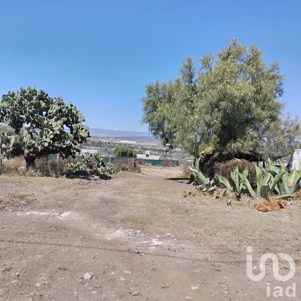 TERRENO EN VENTA  ZEMPOALA HIDALGO