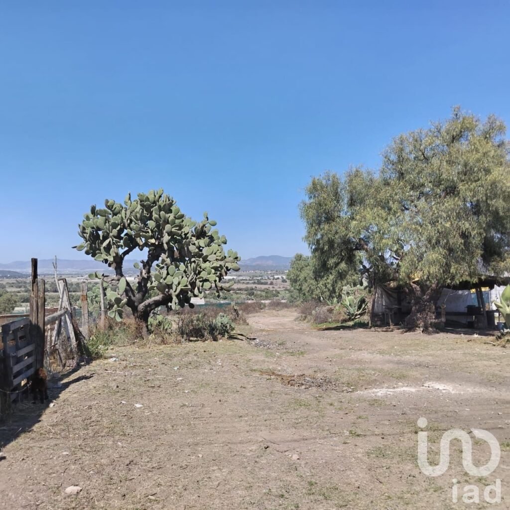 TERRENO EN VENTA  ZEMPOALA HIDALGO