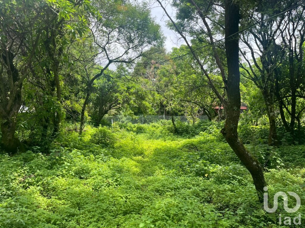 Terreno en Ocotitlán, Tepoztlán con vista a las montañas y de fácil acceso.