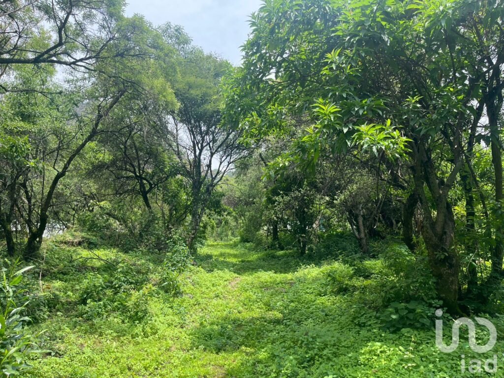 Terreno en Ocotitlán, Tepoztlán con vista a las montañas y de fácil acceso.