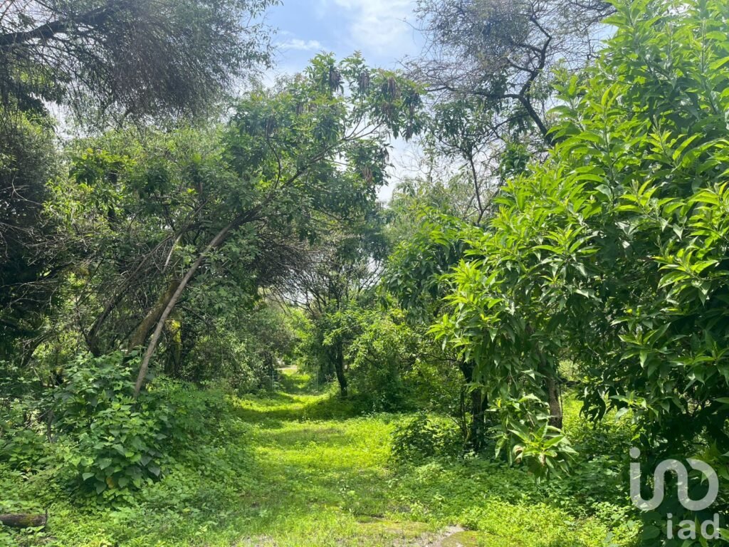 Terreno en Ocotitlán, Tepoztlán con vista a las montañas y de fácil acceso.
