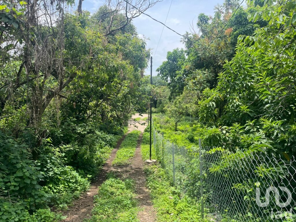 Terreno en Ocotitlán, Tepoztlán con vista a las montañas y de fácil acceso.
