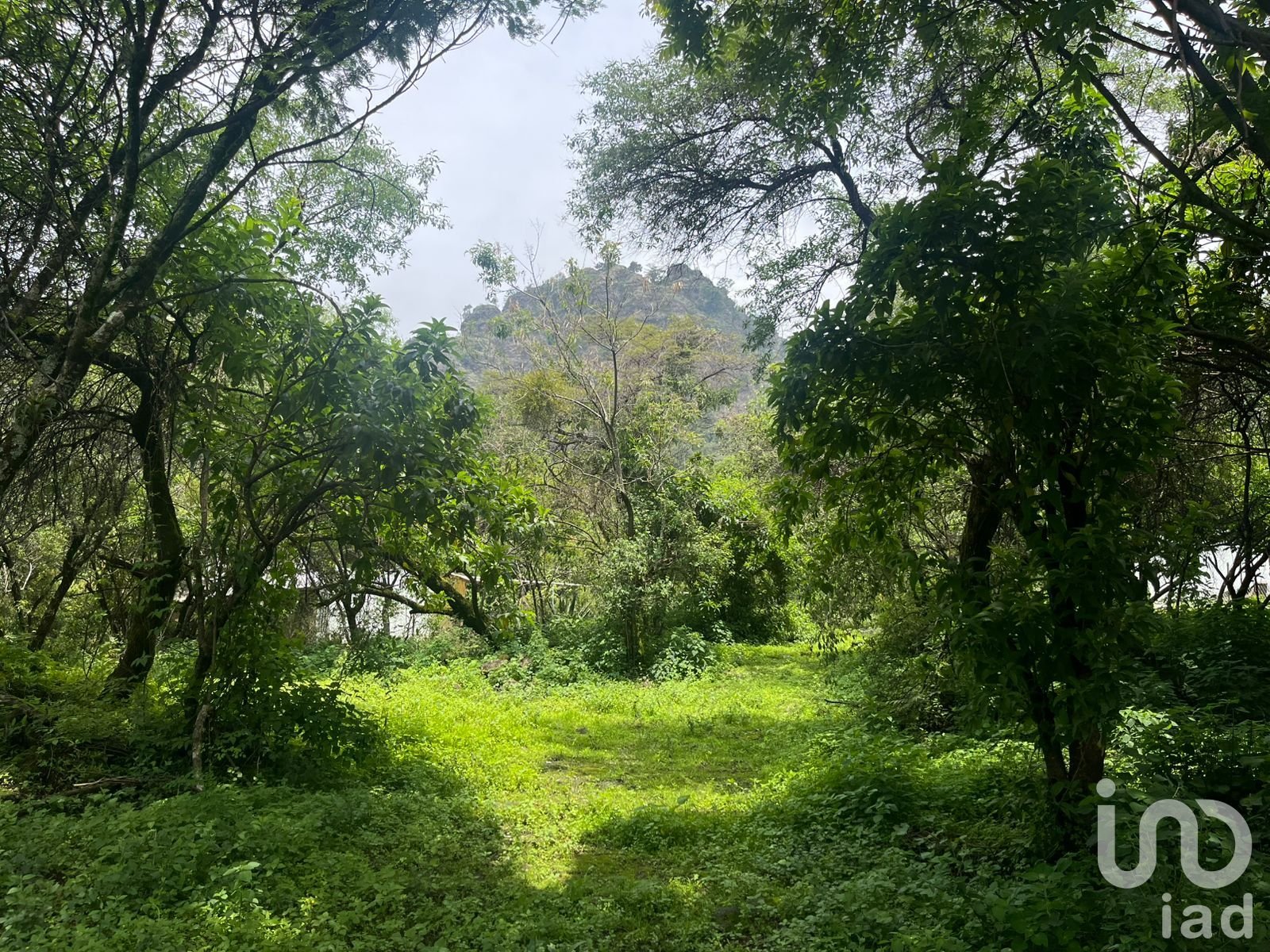 Terreno en Ocotitlán, Tepoztlán con vista a las montañas y de fácil acceso. Terreno en Ocotitlán, Tepoztlán con vista a las montañas y de fácil acceso.