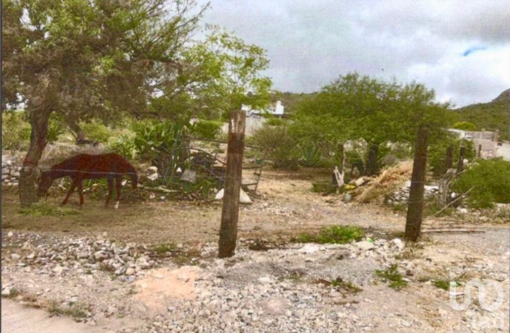 Terreno en venta, al Poniente de Villa Hidalgo