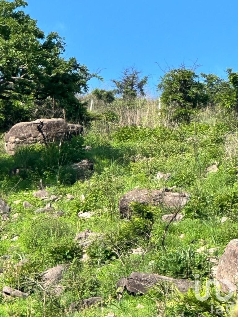 TERRENO RESIDENCIAL PREMIUM