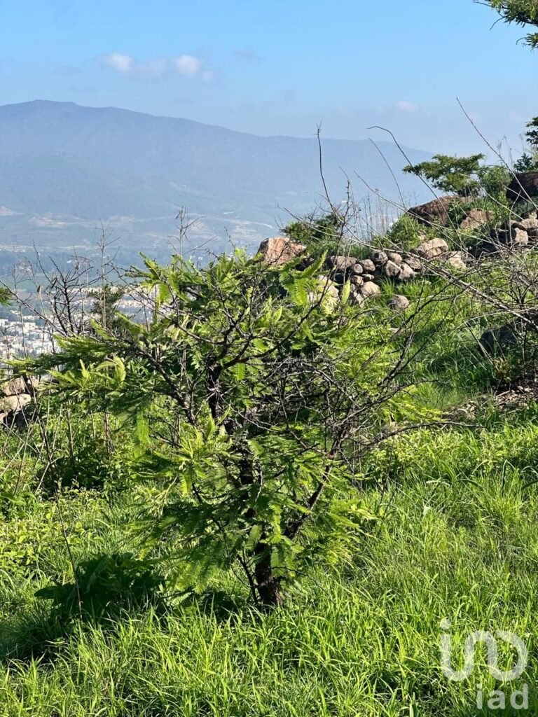 TERRENO RESIDENCIAL PREMIUM