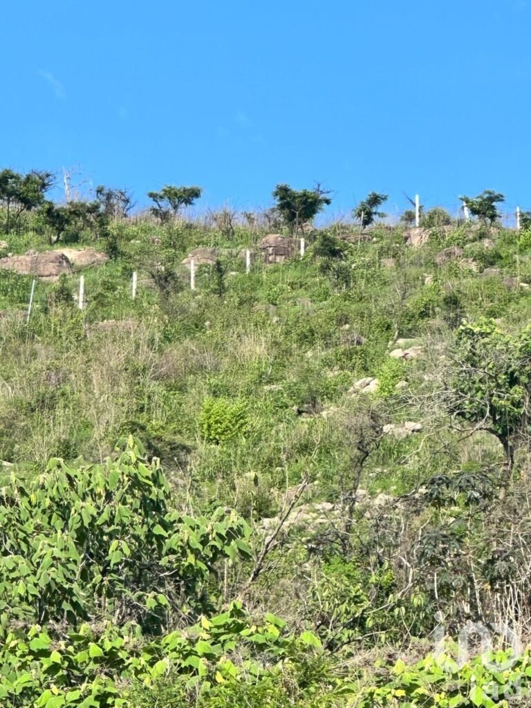 TERRENO RESIDENCIAL PREMIUM