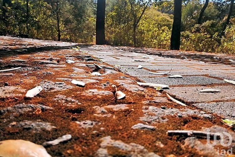 Terreno en Reserva de los Encinos (Reserva Ecologica)