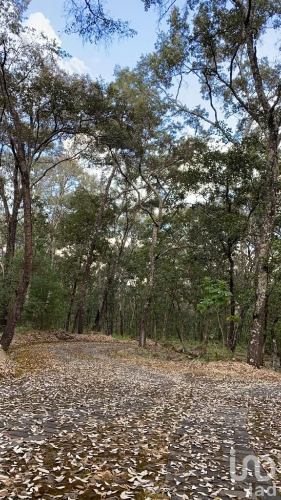 Terreno en Reserva de los Encinos (Reserva Ecologica)