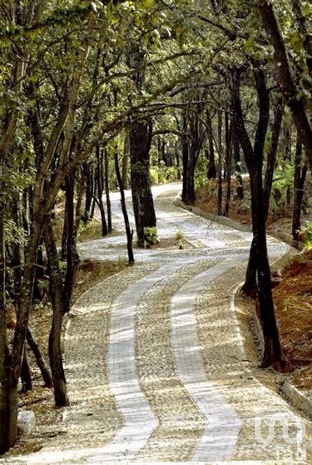 Terreno en Reserva de los Encinos (Reserva Ecologica)