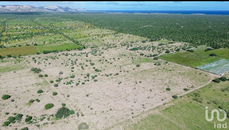 Terreno Agrícola Agropecuario en Bonfil