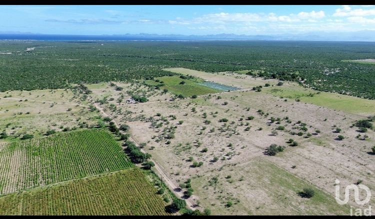 Terreno Agrícola Agropecuario en Bonfil