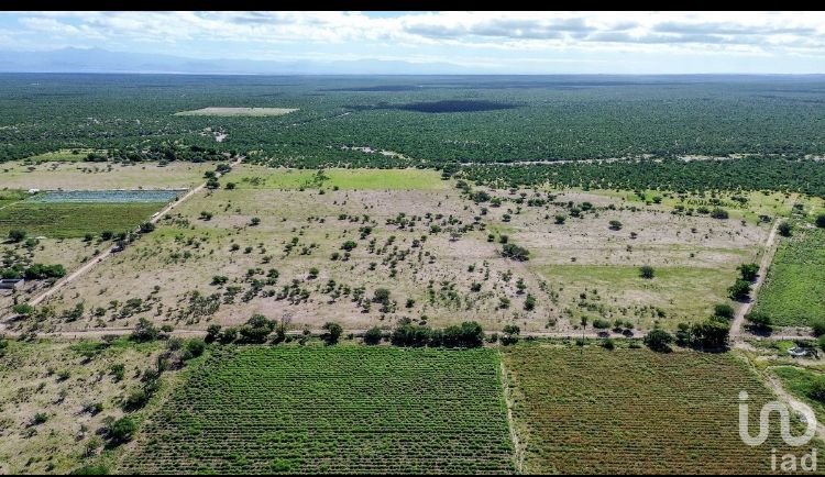 Terreno Agrícola Agropecuario en Bonfil