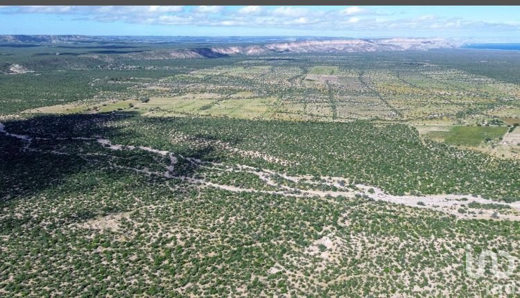 Terreno Agrícola Agropecuario en Bonfil