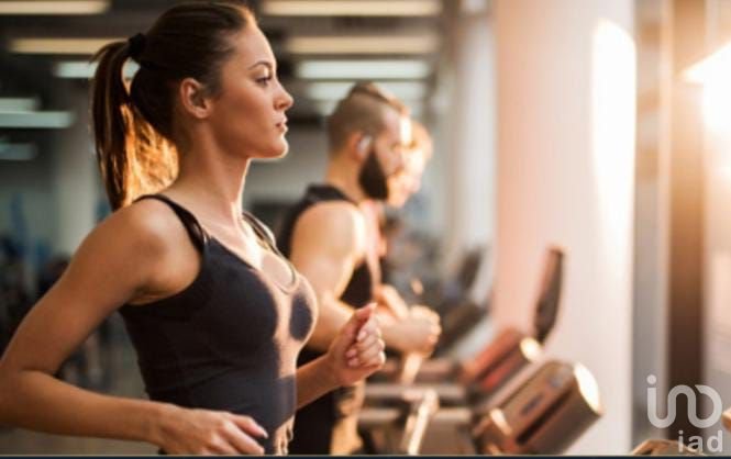 TERRENO HABITACIONAL PREMIUM SAN MIGUEL DE ALLENDE 128