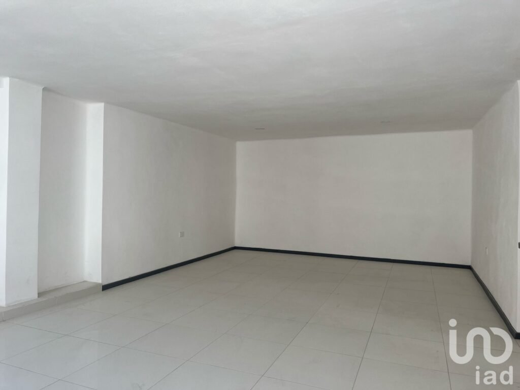 Departamentos en Venta en colonia Amor.