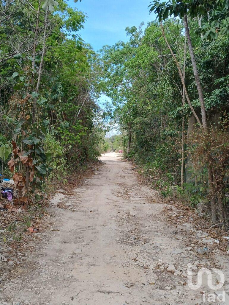 Lote en venta TM2 en la Veleta, Tulum!