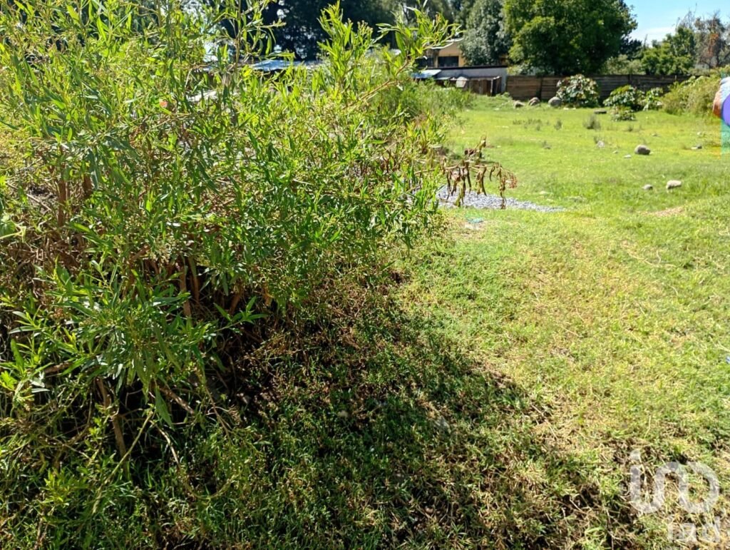 Terreno en Venta San Juan del Rio S/N San Isidro San Martin Texmelucan Puebla