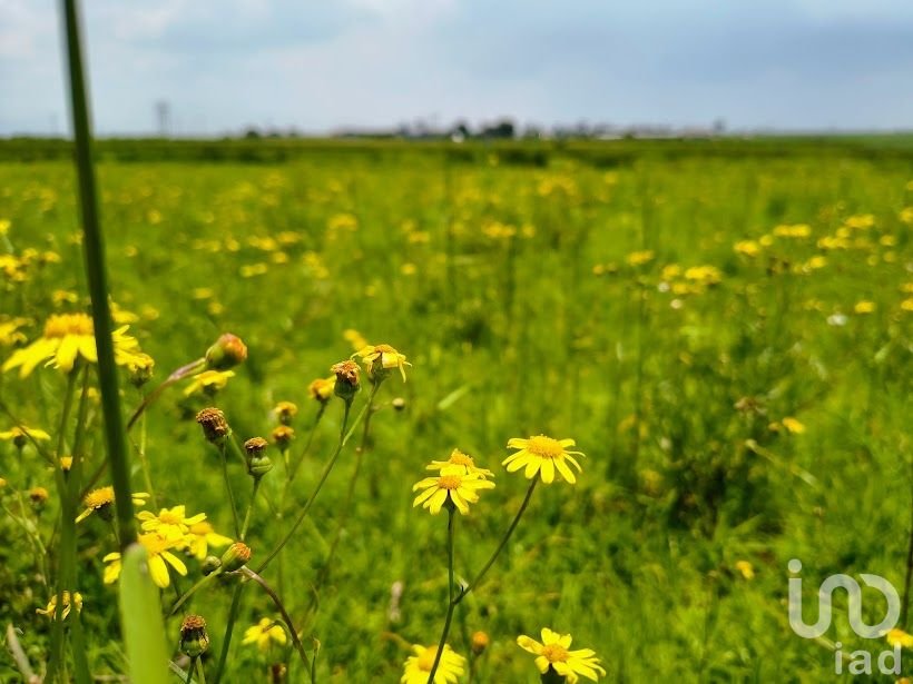 Terreno en venta en Comalco, Temoaya, cerca de toluca, Edo. de México