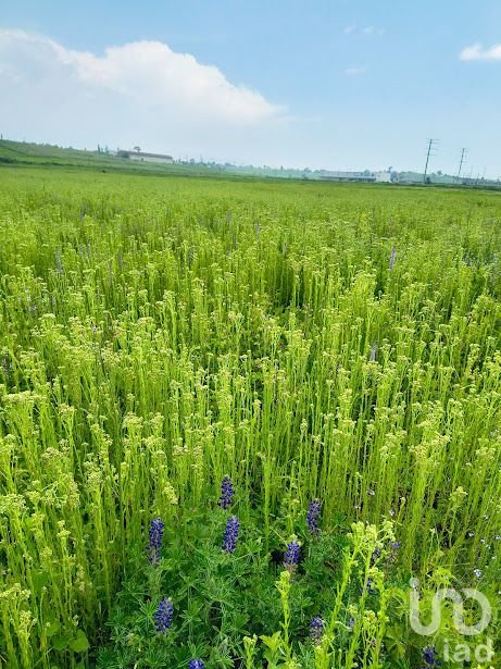Terreno en venta en Comalco, Temoaya, cerca de toluca, Edo. de México
