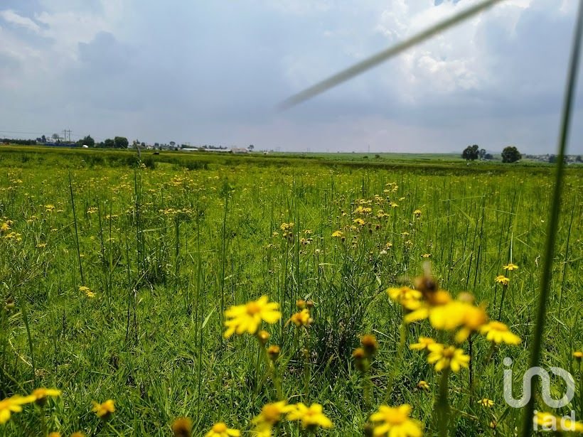 Terreno en venta en Comalco, Temoaya, cerca de toluca, Edo. de México