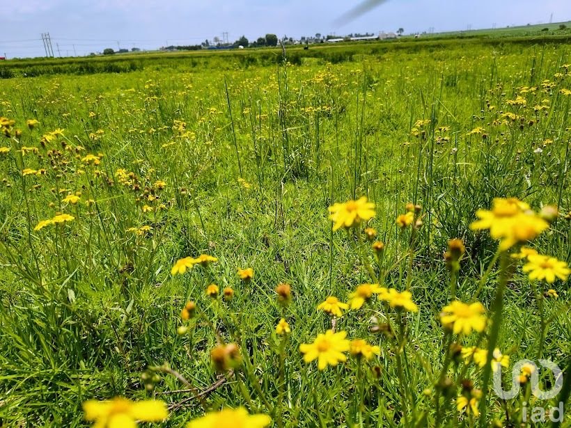 Terreno en venta en Comalco, Temoaya, cerca de toluca, Edo. de México