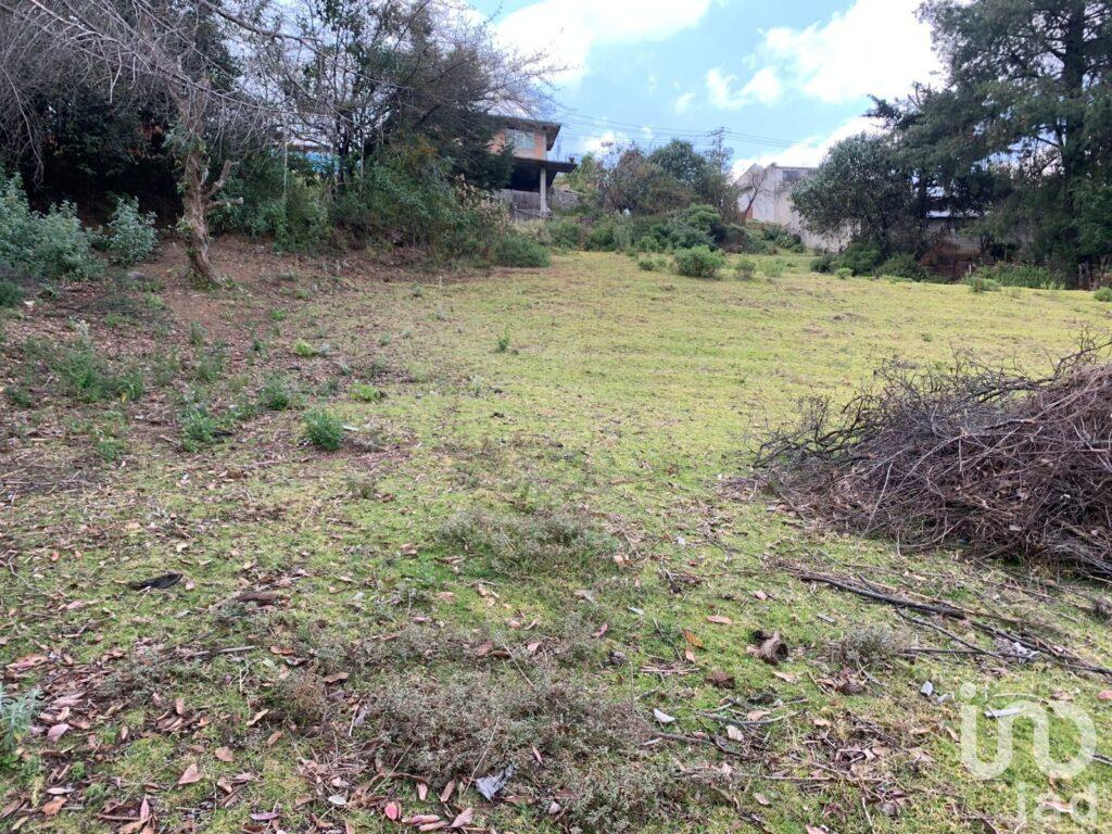 SE VENDE TERRENO EN JILOTZINGO