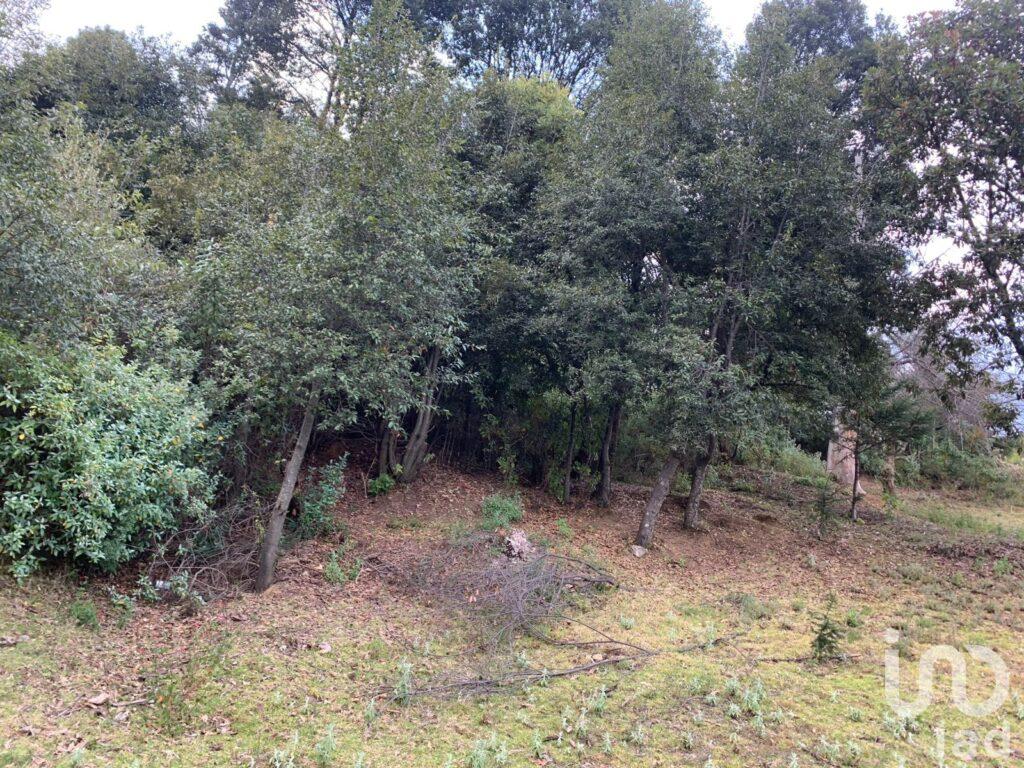 SE VENDE TERRENO EN JILOTZINGO