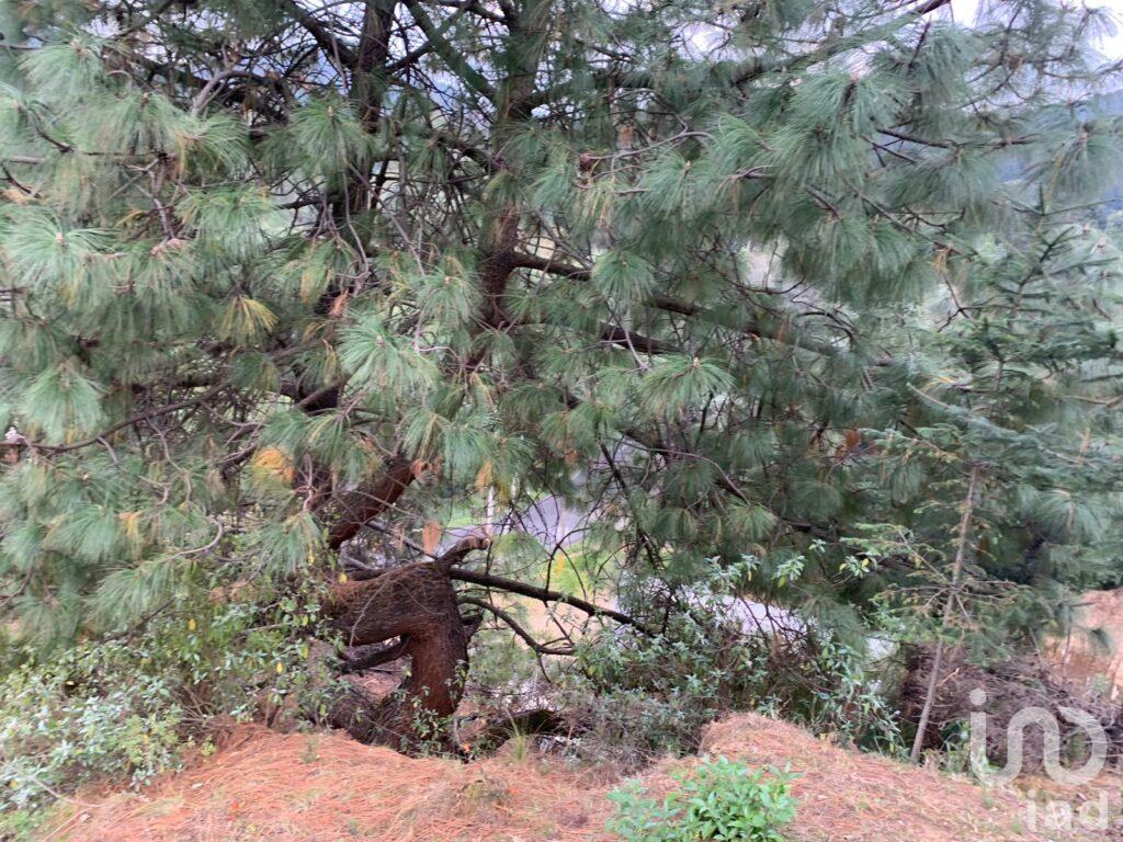 SE VENDE TERRENO EN JILOTZINGO