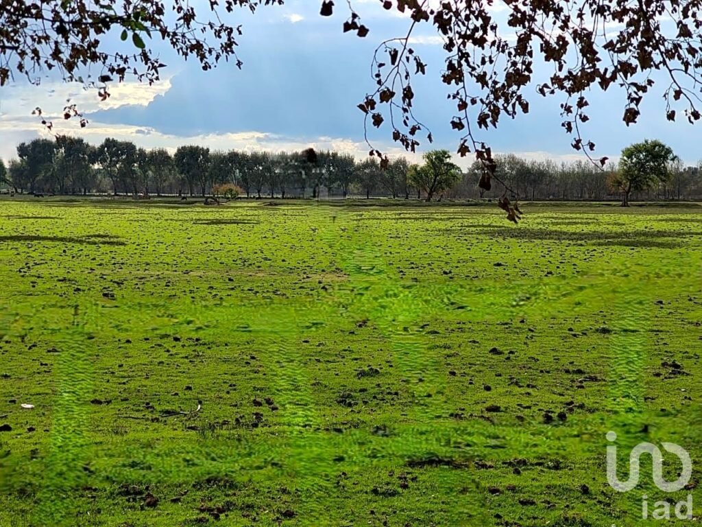 Terreno en Venta en San José Chiapa Puebla