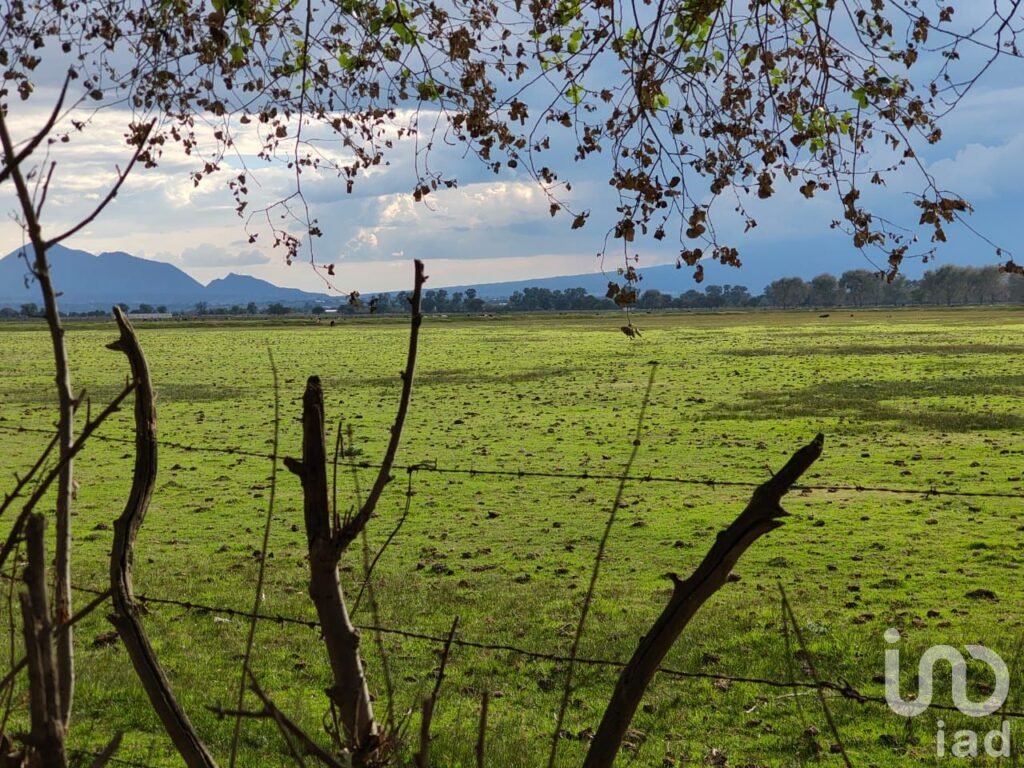 Terreno en Venta en San José Chiapa Puebla