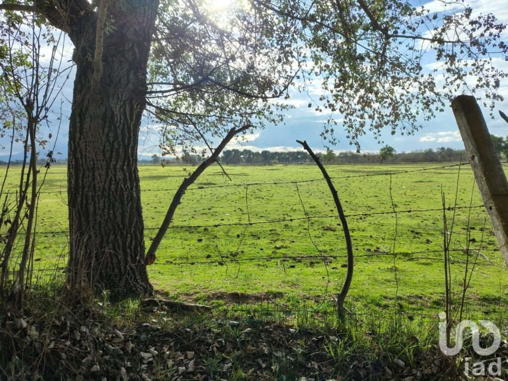 Terreno en Venta en San José Chiapa Puebla