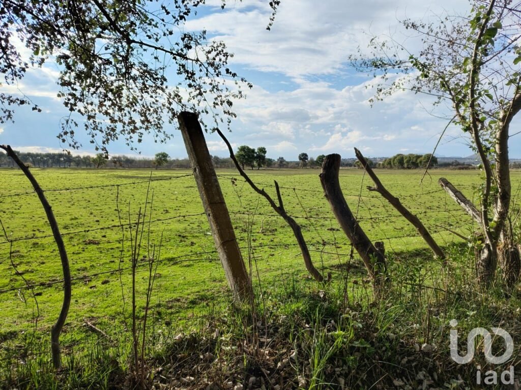 Terreno en Venta en San José Chiapa Puebla